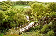 A bridge at the Granite Bay Golf course