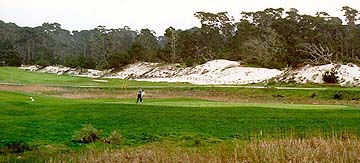 A habitat friendly golf course