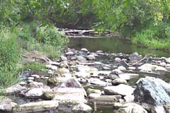 Los Gatos Creek with rocks and trees around it