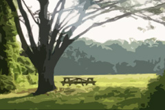 open space field with a big tree and a picnic table on the grass
