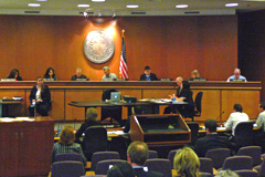 Planning Commission hearing